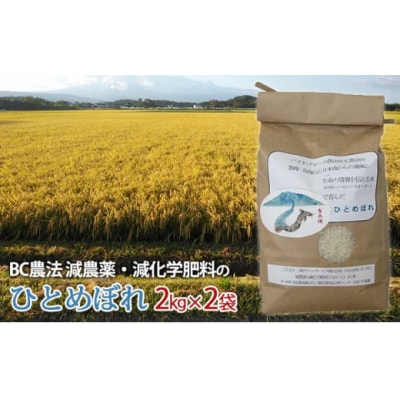 B.C農法 栽培期間中 減農薬 ひとめぼれ 4kg(2kg×2)[No.5934-0094]