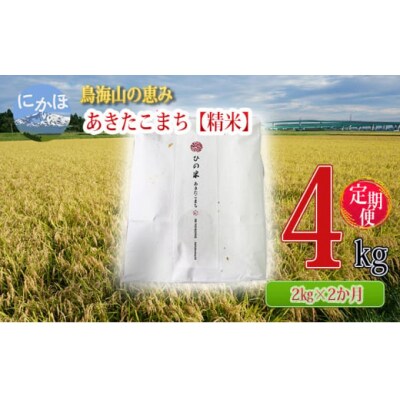2kg×2ヵ月 計4kg あきたこまち 精米 定期便 ひの米[No.5934-0304]