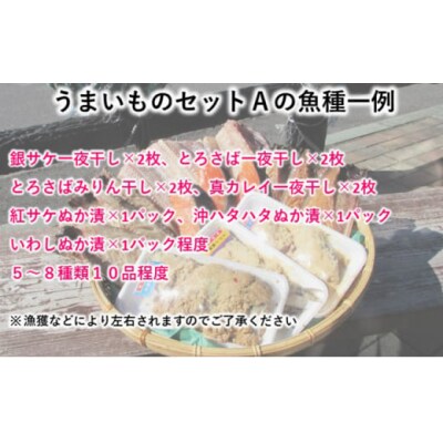 干物 定期便 隔月発送 計3回 10品程度(5~8種)[No.5685-2728]