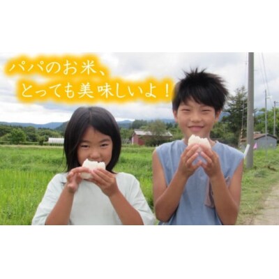 あきたこまち 5kg×2 10kg 郷山のお米(精米)[No.5685-2305]