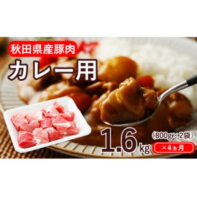 1.6kg×4ヶ月 定期便 カレー用 豚肉 モモ バラ 小分け[No.5685-2207]