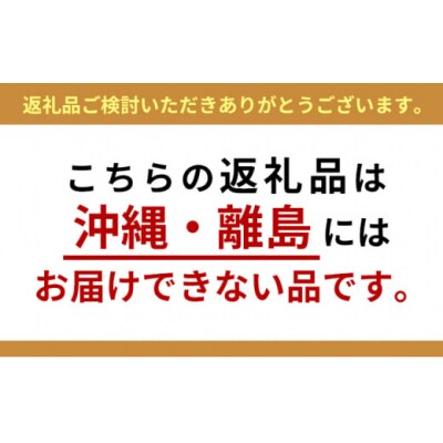 2人前×12ヶ月 担々麺 ラーメン 食べ比べ セット[No.5685-1893]