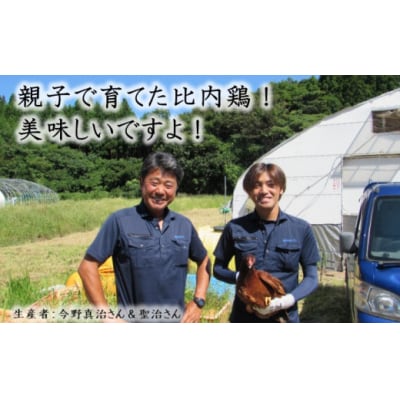 比内地鶏 切り身 冷凍 900g×4回 定期便(鶏肉 小分け 地鶏)[No.5685-2097]