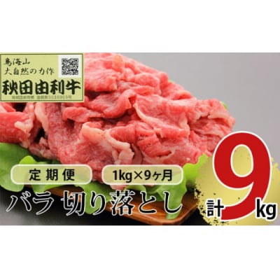 定期便 秋田由利牛(黒毛和牛) 切り落とし 1kg×9回[No.5934-0195]