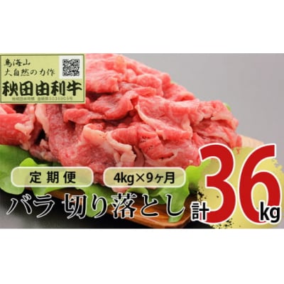 定期便 秋田由利牛 バラ切り落とし 4kg×9ヶ月(黒毛和牛 小分け)[No.5934-0225]