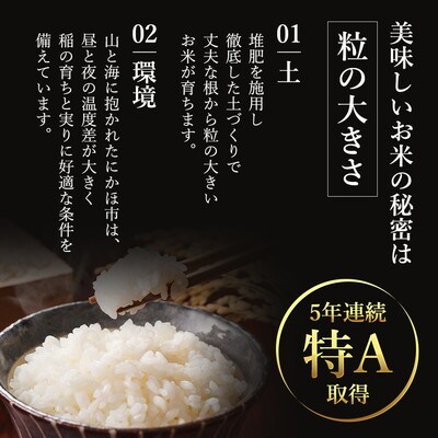米 定期便 5ヶ月  ひとめぼれ 10kg土づくり実証米[No.5685-2061]