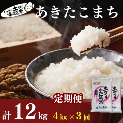 米 定期便 3ヶ月 あきたこまち 4kg 土づくり実証米[No.5934-0795]