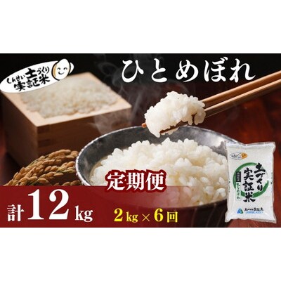 定期便6回 秋田県産 ひとめぼれ 2kg 計12kg 令和7年産[No.5934-0812]