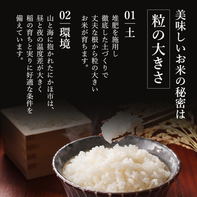 米  ひとめぼれ 4kg 土づくり実証米[No.5934-0821]