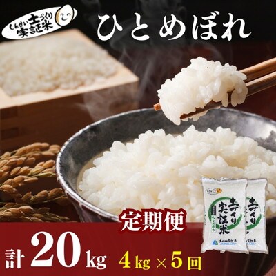 米 定期便 5ヶ月 ひとめぼれ 4kg(2kg×2袋 土づくり実証米[No.5934-0825]