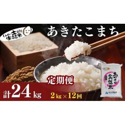 定期便12回 秋田県産 あきたこまち 2kg 計24kg 令和7年産[No.5934-0790]
