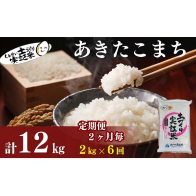 隔月定期便6回 秋田県産 あきたこまち 2kg 計12kg 令和7年産[No.5934-0792]