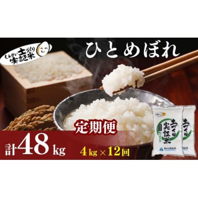 定期便12回 秋田県産 ひとめぼれ 4kg 計48kg 令和7年産[No.5934-0832]