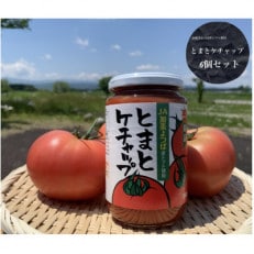 とまとケチャップ 380g×6個
