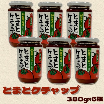 とまとケチャップ 380g×6個