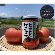 とまとケチャップ 380g×3個