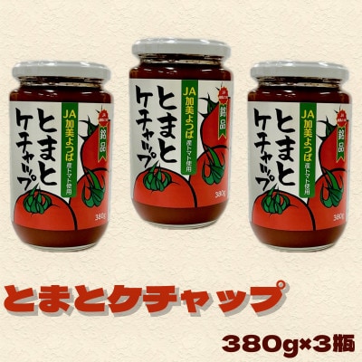 とまとケチャップ 380g×3個
