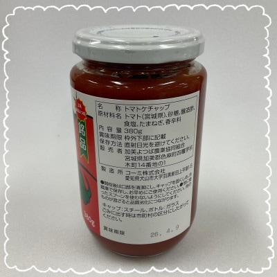 とまとケチャップ 380g×3個