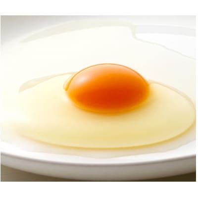 森のたまご66個(+割れ補償6個)