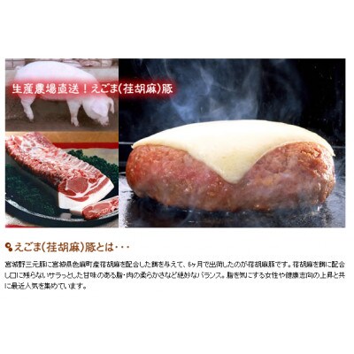 えごま豚ハンバーグ　8個入