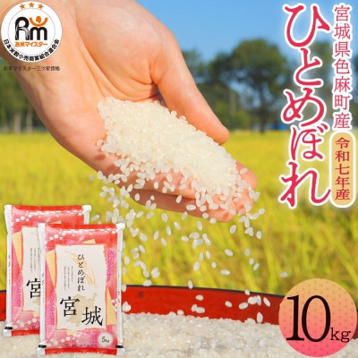 【令和7年産】宮城県　色麻町　ひとめぼれ　精米　10kg(5kg×2)