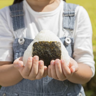 【毎月定期便】宮城県産 ひとめぼれ 精米 10kg(5kg×2)全3回