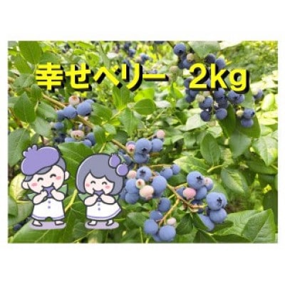 【冷凍ブルーベリー】2kg 千葉県野田市産
