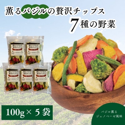 薫るバジルの贅沢チップス　7種の野菜100g5袋セット