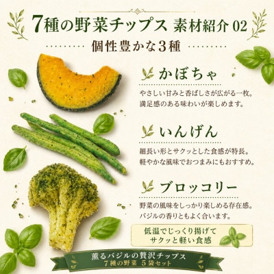 薫るバジルの贅沢チップス　7種の野菜100g5袋セット