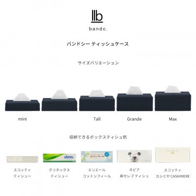 心地よい暮らしをつくる ティッシュケース Max ネイビー バンドシー [AR163]