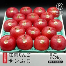 江刺りんご(サンふじ) 贈答用化粧箱入 約5kg【12月出荷】 [AQ008]