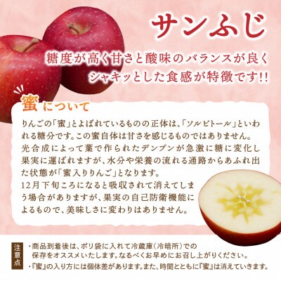 江刺りんご(サンふじ・シナノゴールド)  贈答用化粧箱入 計約5kg【12月出荷】 [AQ010]