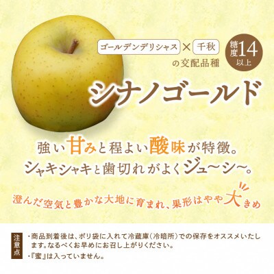 江刺りんご(サンふじ・シナノゴールド)  贈答用化粧箱入 計約5kg【12月出荷】 [AQ010]