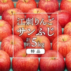 江刺りんご サンふじ 約5kg 【12月中旬より出荷】特品 訳あり 糖度14度以上 [AQ011]