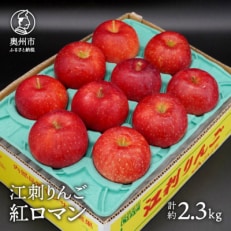 江刺りんご 紅ロマン 約2.3kg(8～11玉) [AQ021]