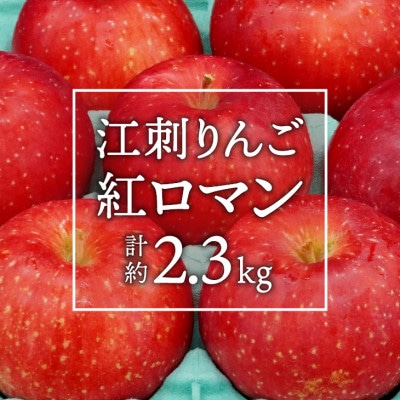 江刺りんご 紅ロマン 約2.3kg(8～11玉) [AQ021]