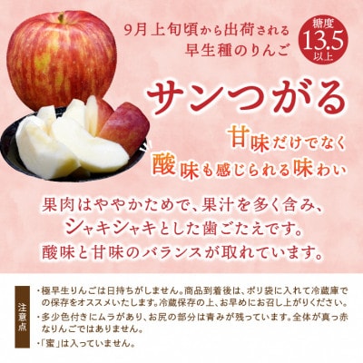 江刺りんご サンつがる 約5kg(16～20玉) [AQ022]
