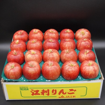 江刺りんご サンつがる 約5kg(16～20玉) [AQ022]