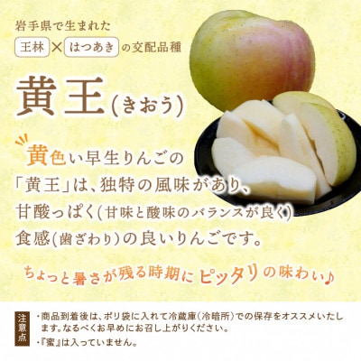 江刺りんご サンつがる・黄王 計約5kg(16～20玉) [AQ023]