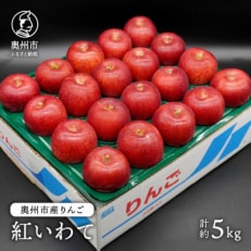 奥州市産りんご 紅いわて 約5kg(14～20玉) [AQ024]