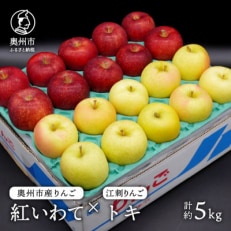 奥州市産りんご(紅いわて)と江刺りんご(トキ)のセット 計約5kg(14～20玉) [AQ025]