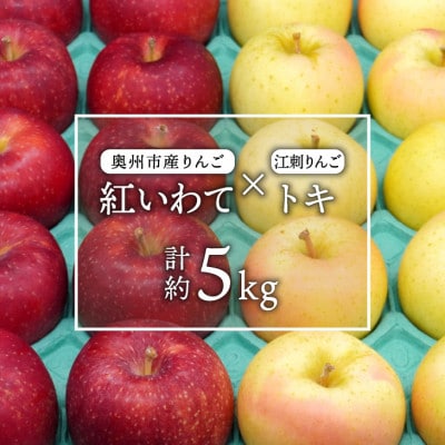 奥州市産りんご(紅いわて)と江刺りんご(トキ)のセット 計約5kg(14～20玉) [AQ025]
