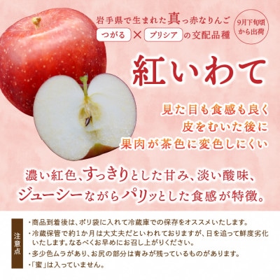 奥州市産りんご(紅いわて)と江刺りんご(トキ)のセット 計約5kg(14～20玉) [AQ025]
