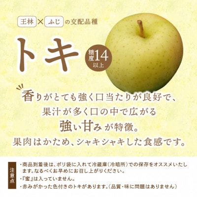 奥州市産りんご(紅いわて)と江刺りんご(トキ)のセット 計約5kg(14～20玉) [AQ025]