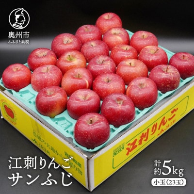 江刺りんご サンふじ 小玉 約5kg(23玉) [AQ027] | 岩手県奥州市