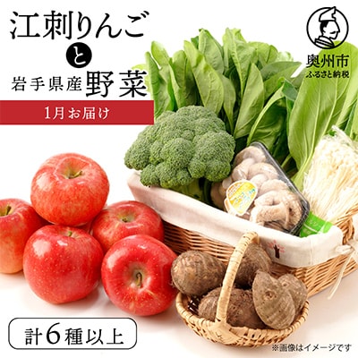 江刺りんごと岩手県産野菜セット【令和9年1月お届け】 [AQ018]