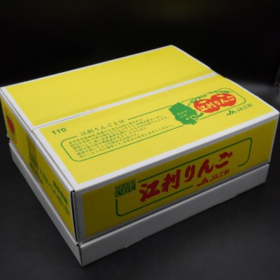 【12月より発送】江刺りんご サンふじ 約5kg と 江刺金札米ひとめぼれ4kgセット[AQ065]