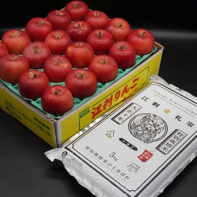 【12月発送】江刺りんご サンふじ 約5kg と 江刺金札米ひとめぼれ 5kg セット[AQ074]