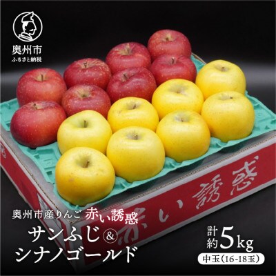 奥州市産りんご赤い誘惑「サンふじ&シナノゴールド」約5kg(16～18玉) [AQ081]