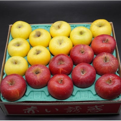 奥州市産りんご赤い誘惑「サンふじ&シナノゴールド」約5kg(16～18玉) [AQ081]